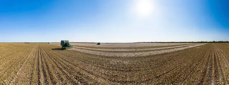 Organic Farming Loans