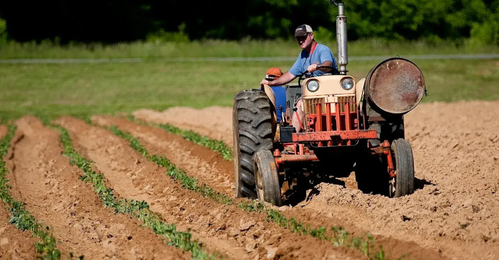 2. Agriculture Term Loans