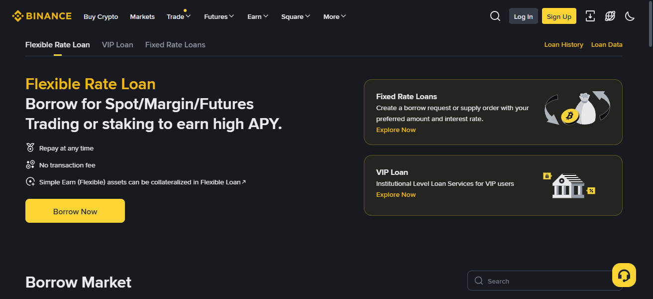 Binance Loans