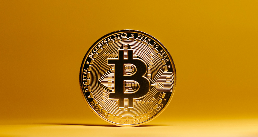 The Shadow of Dollarization