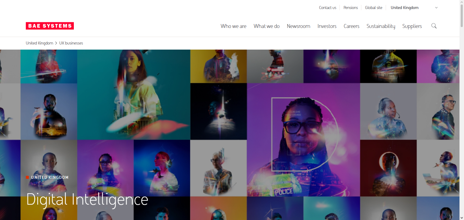 BAE Systems NetReveal