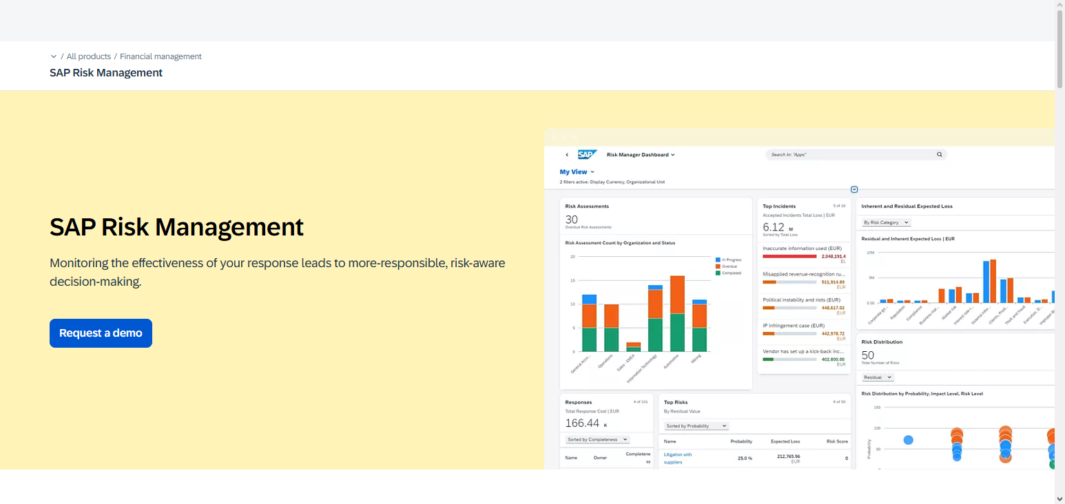 SAP Risk Management