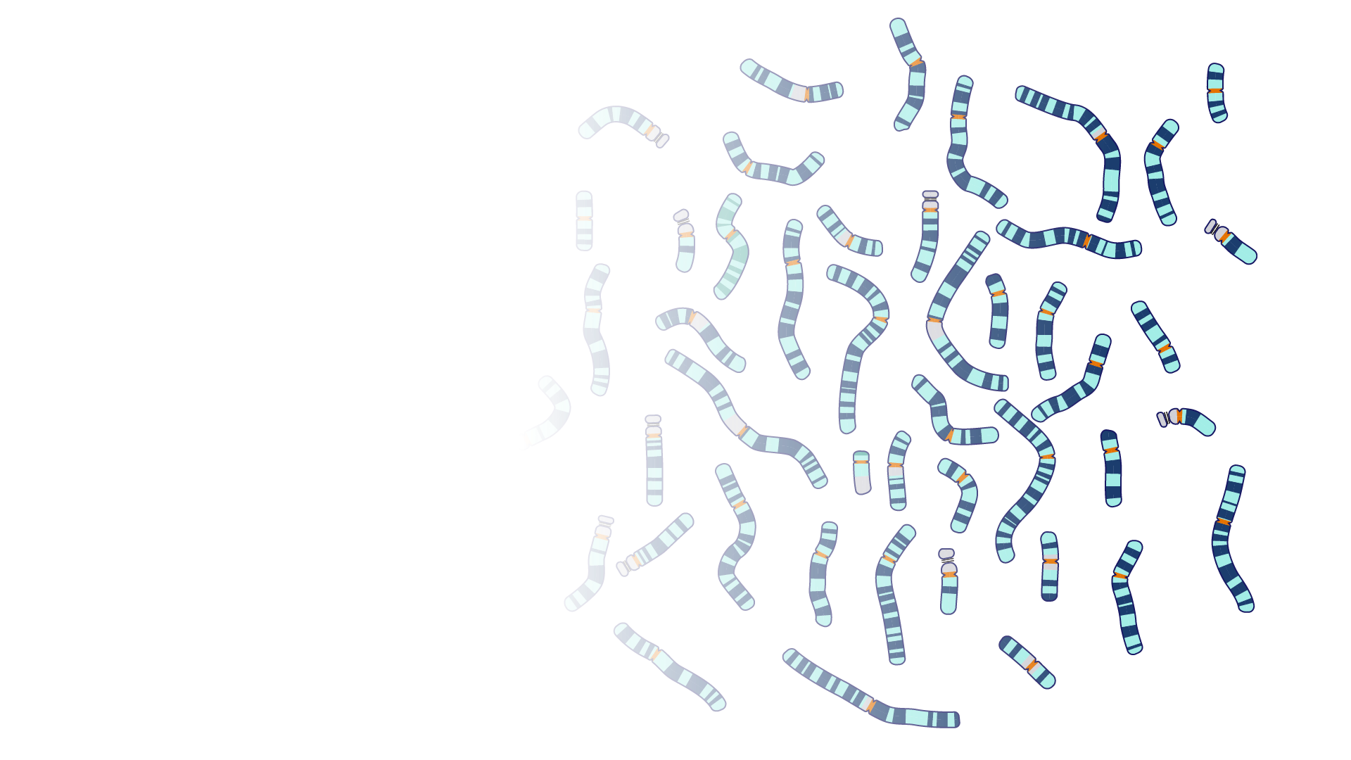 Personalized Medicine