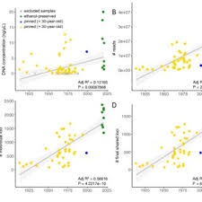 Dynamic Conditional Correlation (DCC-GARCH)