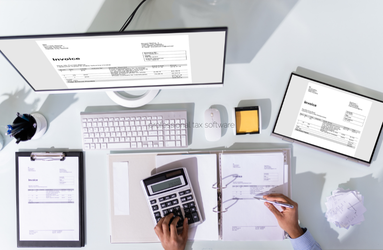 Use Professional Tax Advisors