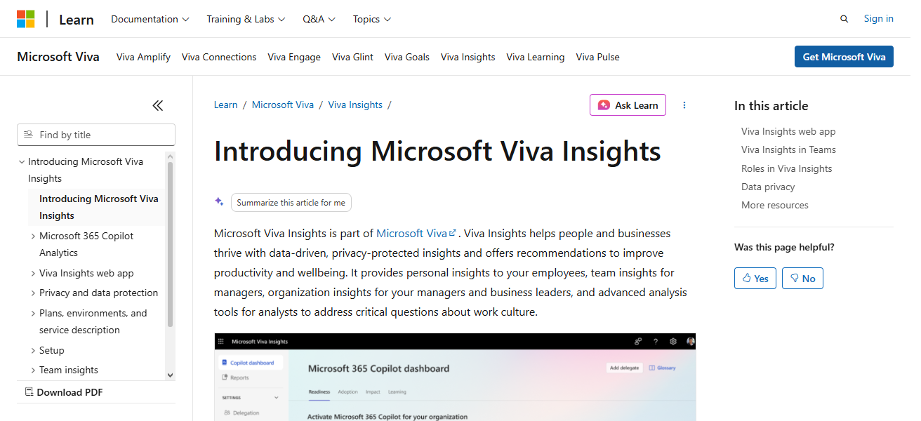 9. Viva Insights AI