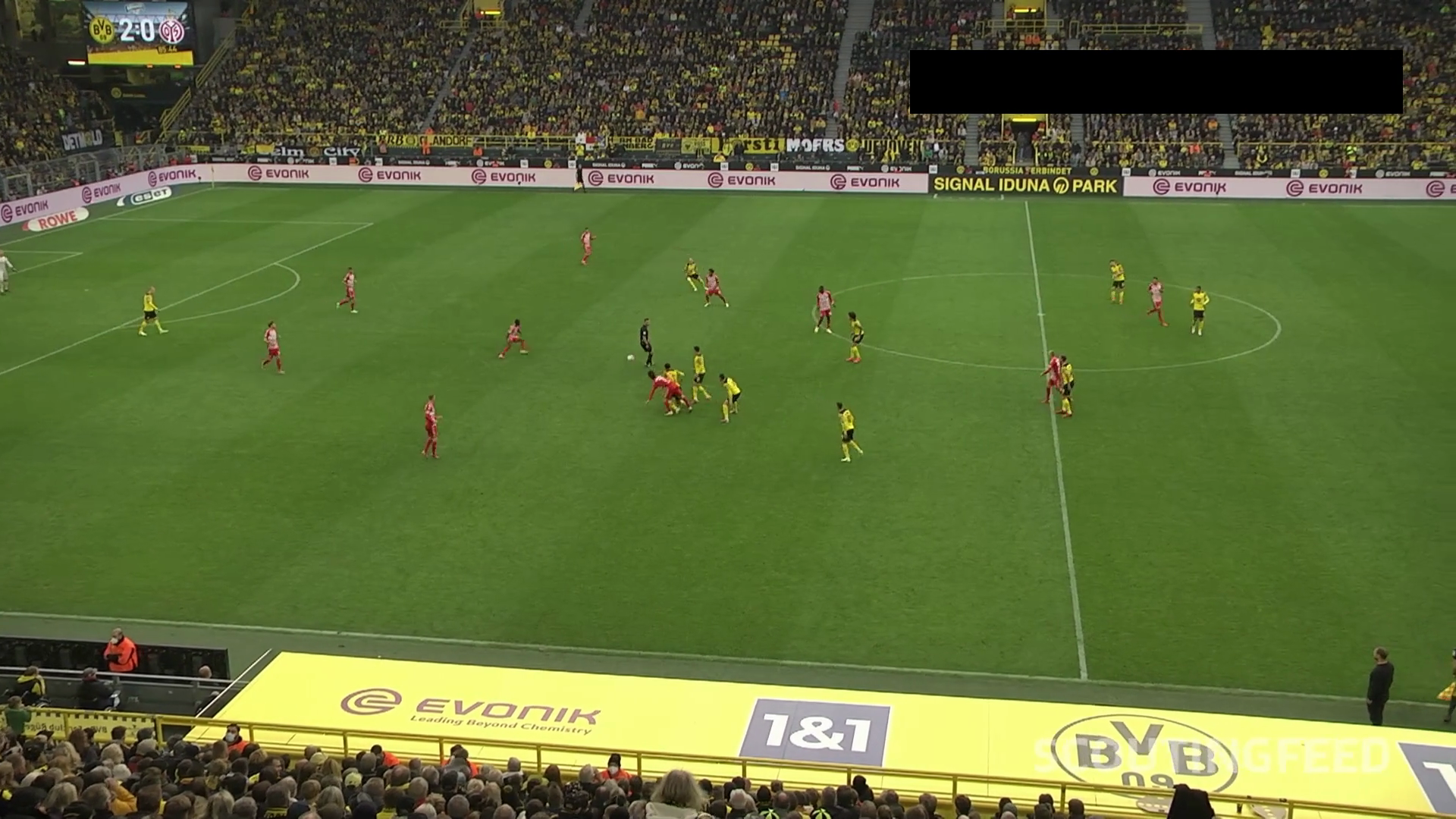 Player Performance Analysis