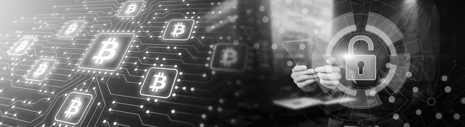 Secure Wallets