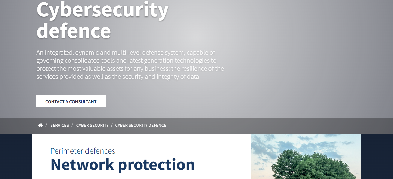 Cybersecurity Defense Systems