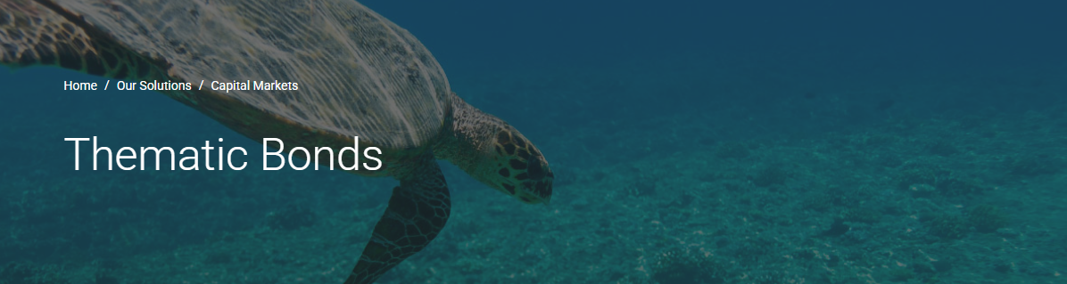 Thematic (Use-of-Proceeds) Bonds