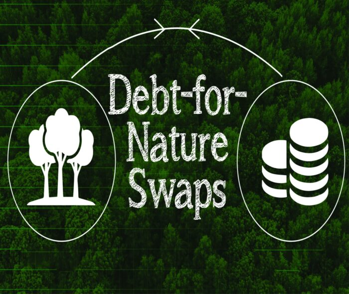 Debt-for-Nature Swaps (DNS)
