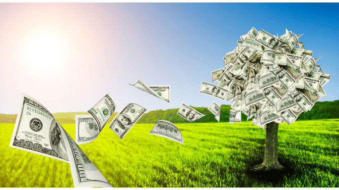 Natural Asset Companies (NACs)