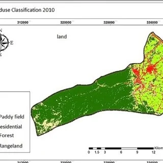 Machine Learning Classifiers (SVM, Random Forests)