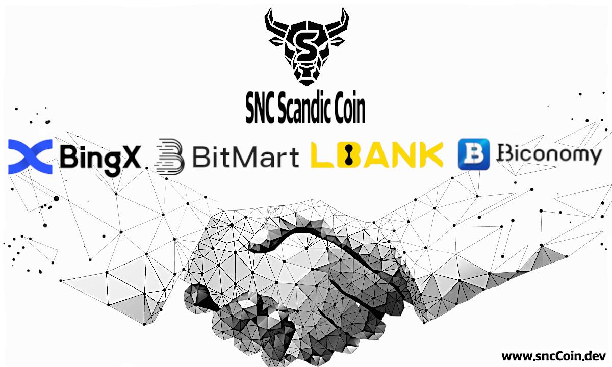 SNC Scandic Coin and BingX Bitmart L Bank Biconomy 177971998308YANB6uea
