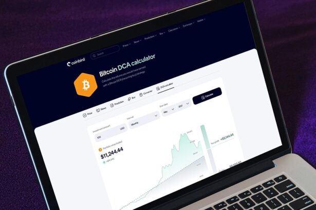 coinbird analysis bitcoin dca 1779098758ePFhCW1EAy