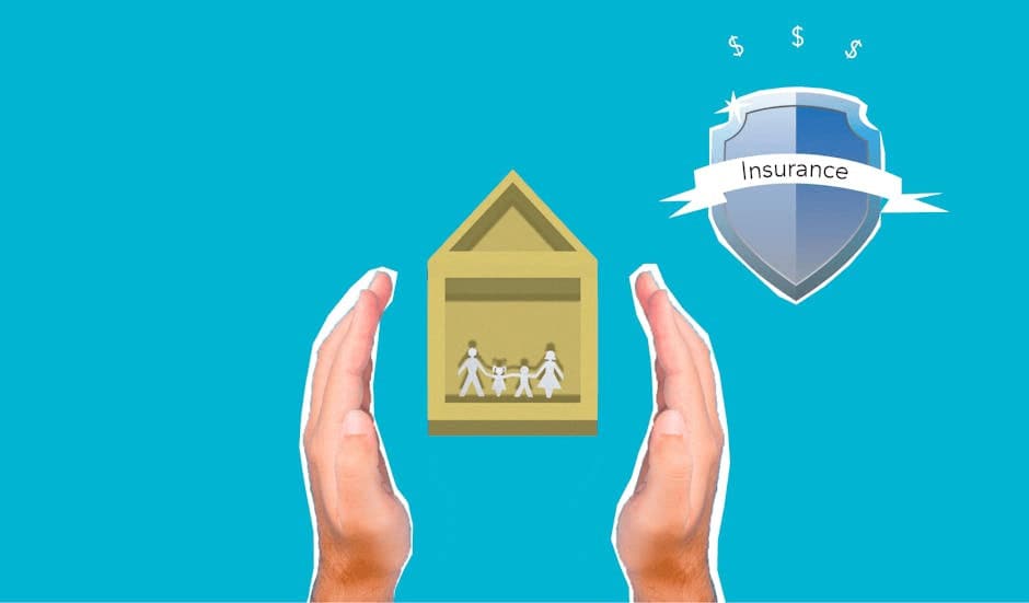 Asset Protection Using Insurance