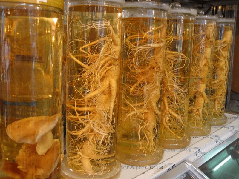 Ginseng