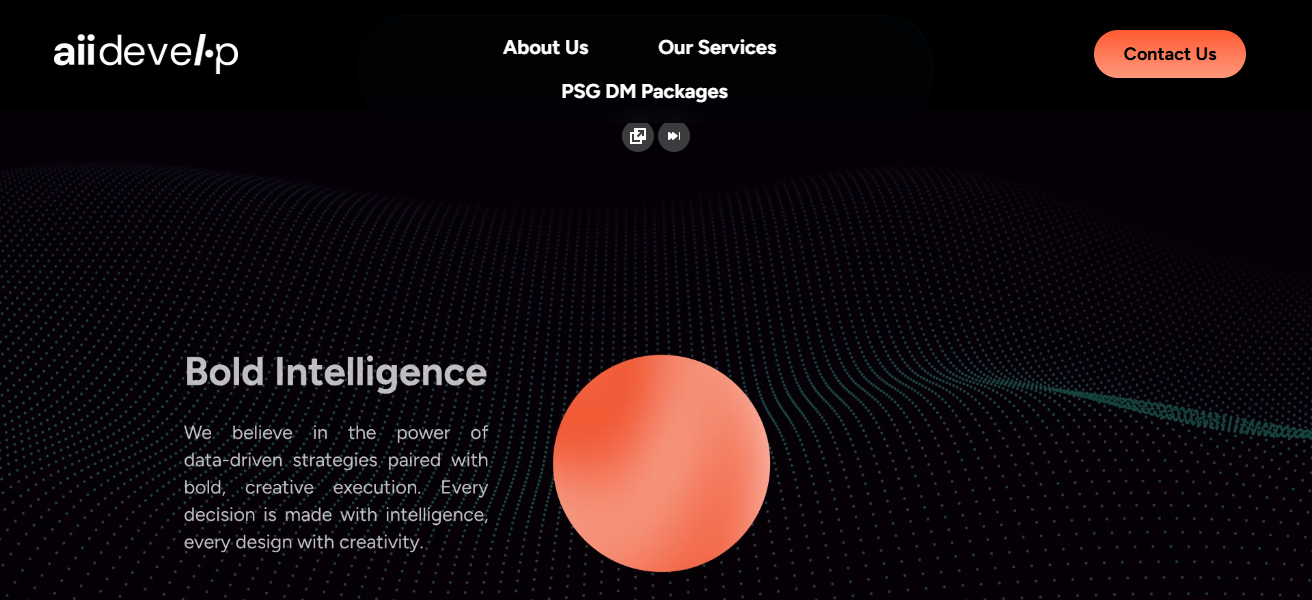 10 Top Singapore AEO Agencies Driving APAC Revenue Growth 24 Aii Develop Digital Solutions