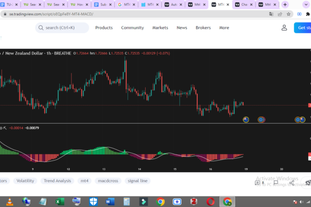 10 Best Algorithmic Backtesting Tools for Nifty Options