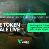 VALLE TOKEN BANNER 17829275587ejn0EHxrm
