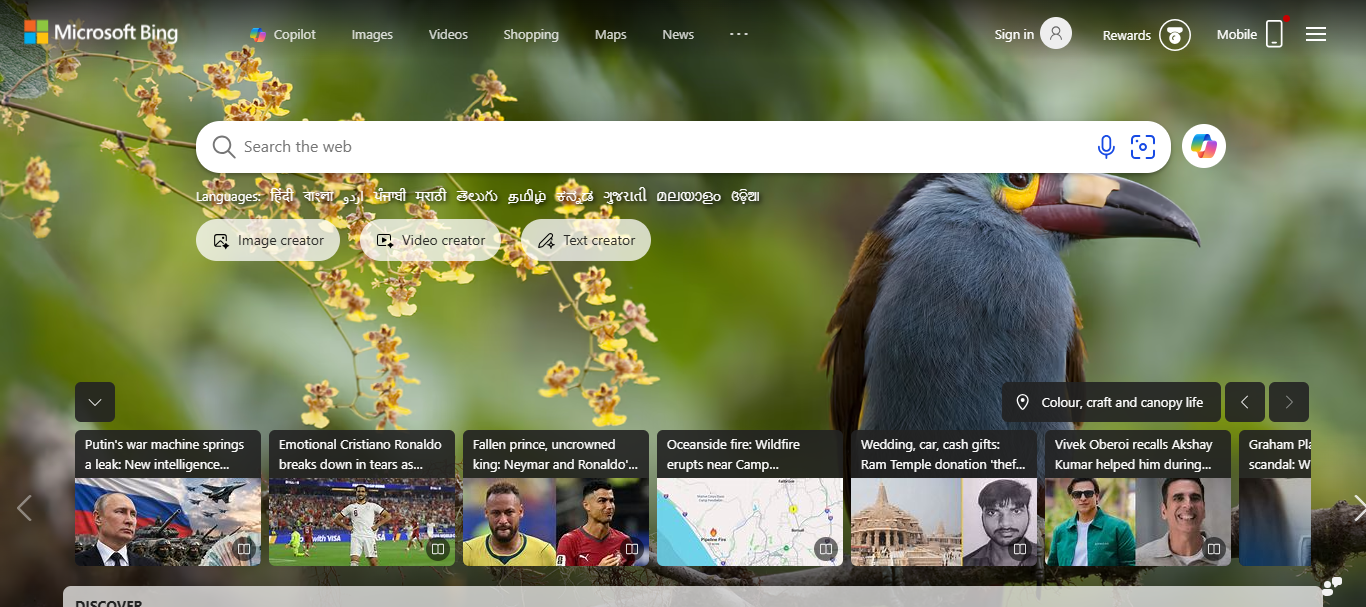 Microsoft Bing