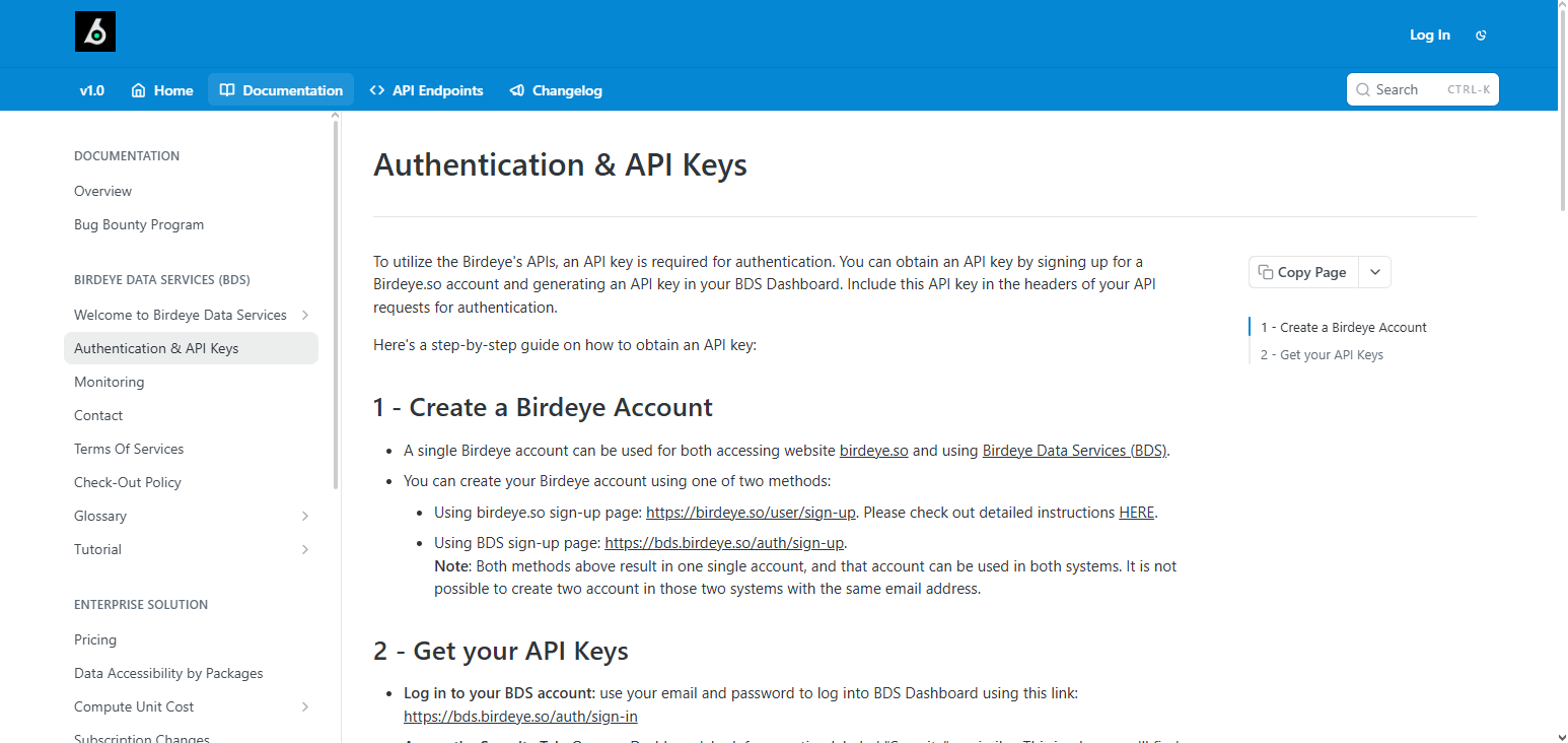 Birdeye API