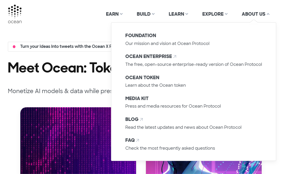 10 Best AI Blockchain Infrastructure Platforms In 2026 20 Ocean Protocol