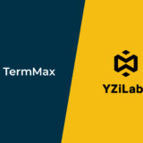 YZi Labs Backs TermMax to Advance On