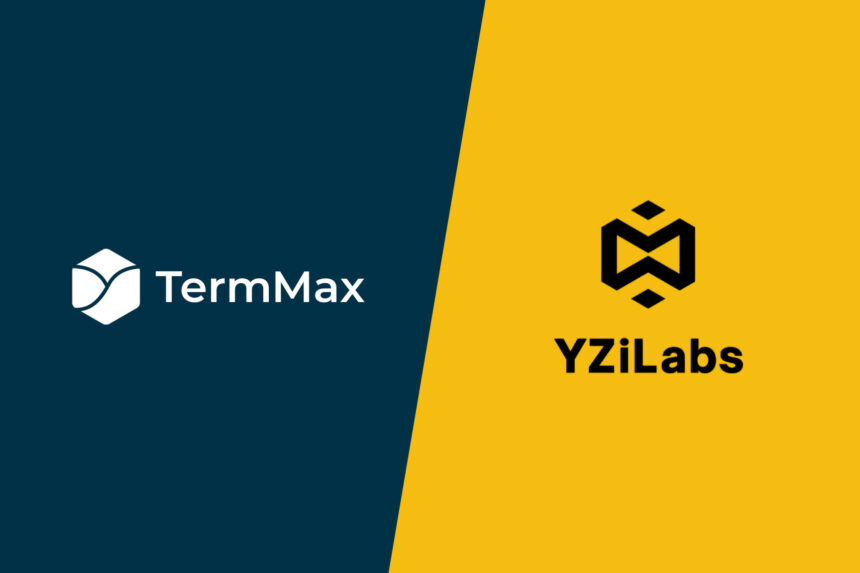 YZi Labs Backs TermMax to Advance On