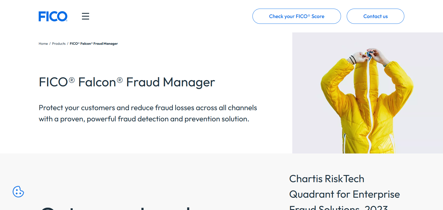 FICO Transaction Monitoring