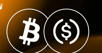 10 Crypto Loan Apps – No Credit Check, Instant Payout