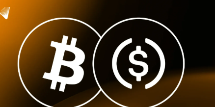 10 Crypto Loan Apps – No Credit Check, Instant Payout