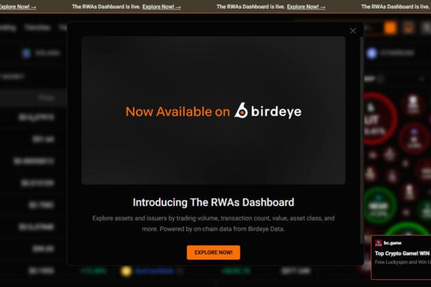 14 Top Birdeye Alternatives for Solana Trading Data In 2026