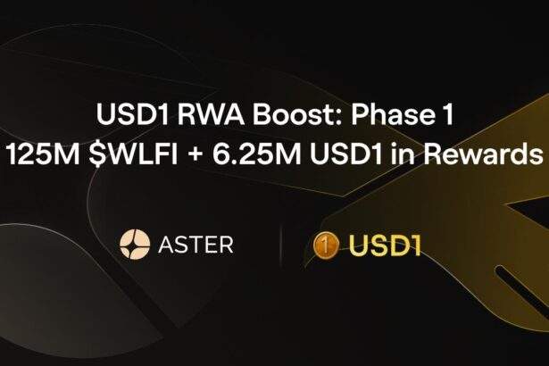 ASTER WLFI for PR 1 1788169306AFYknRxA8l