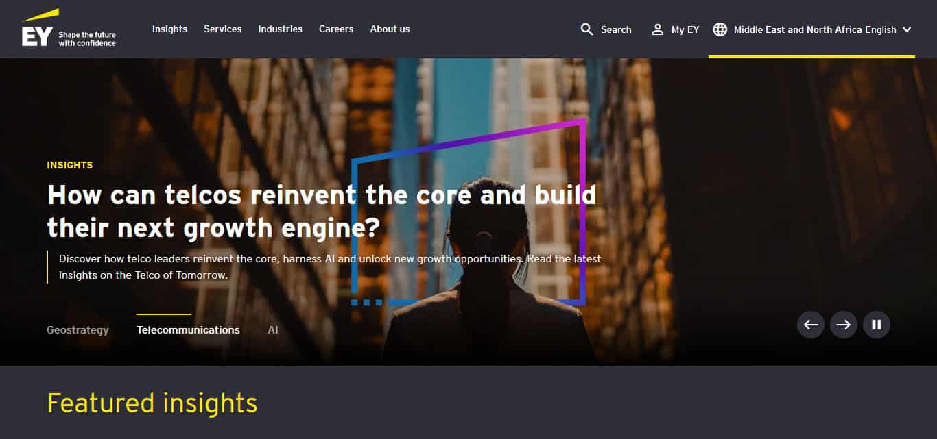 Ernst & Young (EY)
