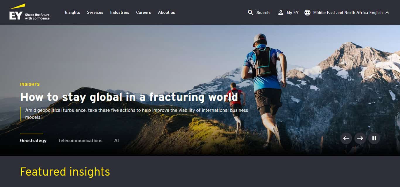 Ernst & Young (EY)